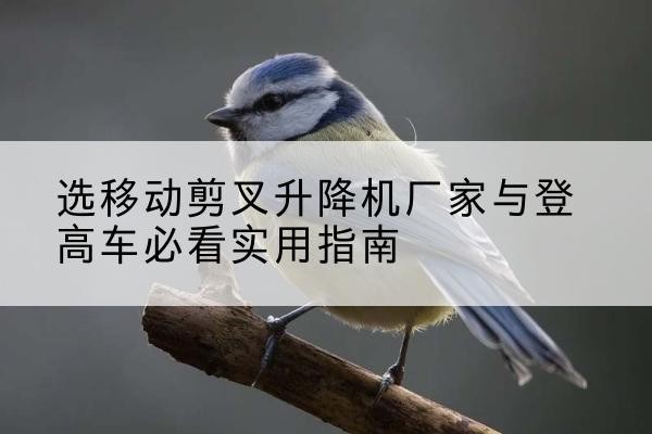 松阳电动升降机厂家-选移动剪叉升降机厂家与登高车必看实用指南