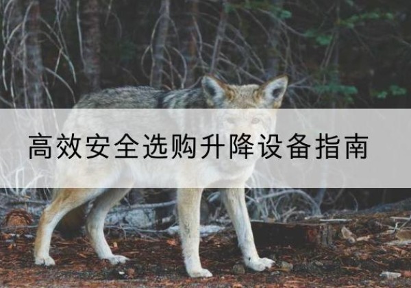松阳升降货梯厂家推荐-*安全选购升降设备指南