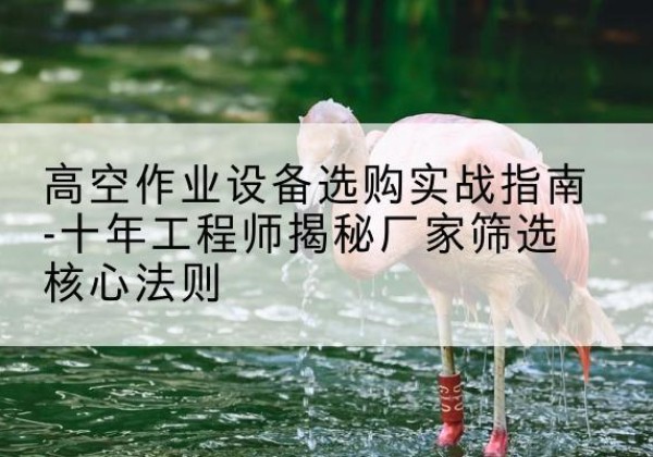松阳剪叉式升降机厂家-高空作业设备选购实战指南-十年工程师揭秘厂家筛选核心法则